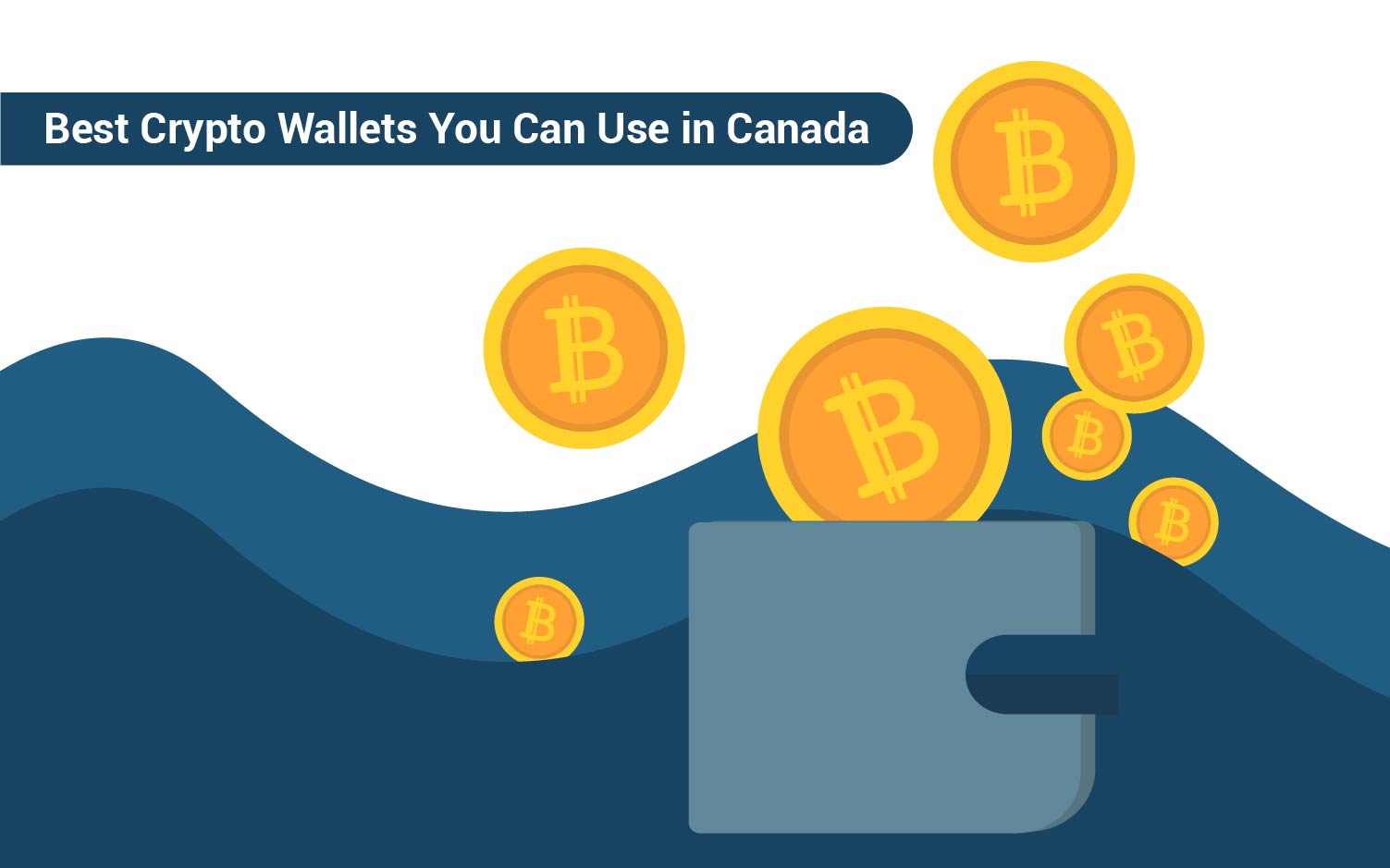 best crypto wallet for canada